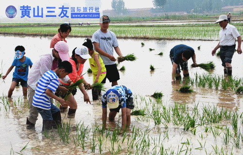 徽州3日研學游