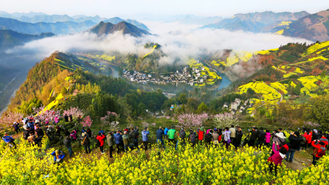 黃山四月免門票拉，快來薅羊毛